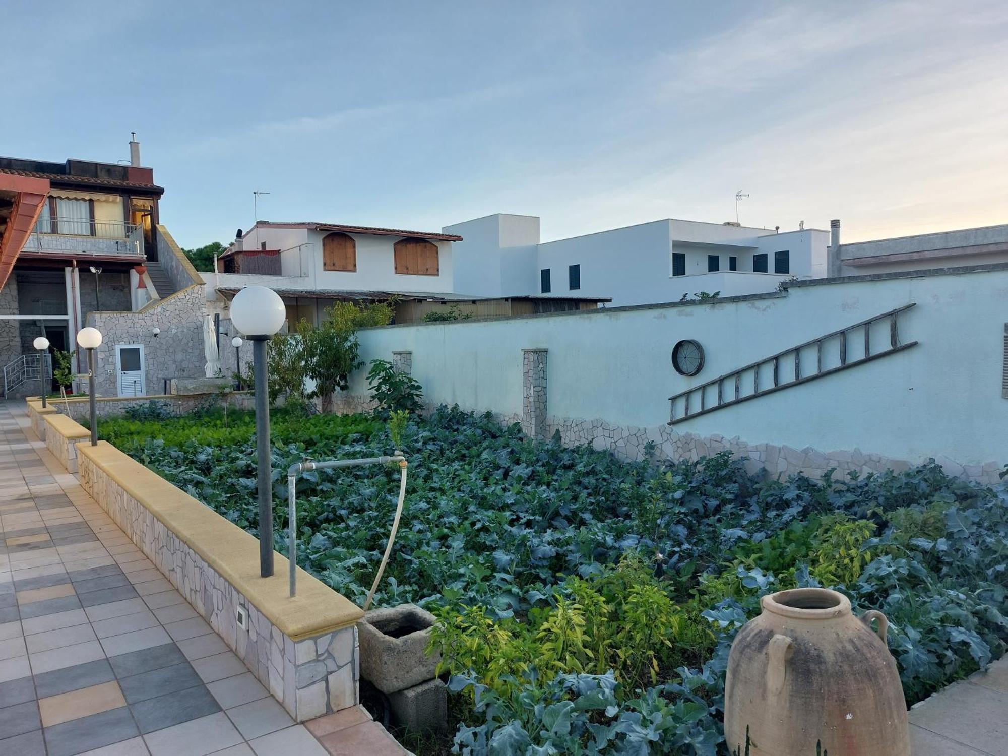 Hotel Oltremare Vignacastrisi Exteriér fotografie